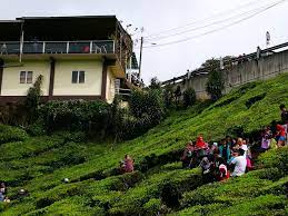 We did not find results for: Memory Lane Ladang Teh Bharat Cameron Highlands