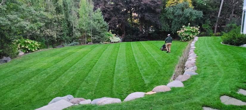 How to Diagnose and Fix Common Minnesota Lawn Problems | Green Horizons | Green  Horizons