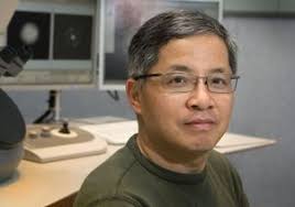 UCLA physicists map the atomic structure of an alloy