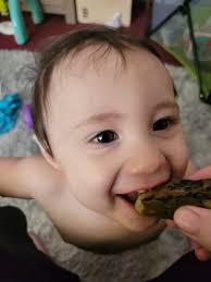 Have you tried Randy's chargrilled pickles?