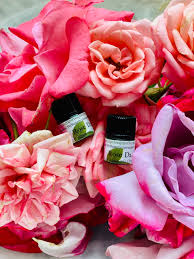 Rose Essential Oil Greece - Essential Oil Apothecary