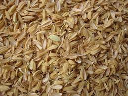 Sekam padi sering diartikan sebagai bahan sisa atau bahan sisa dari proses penggilingan padi. Rice Hulls Wikipedia