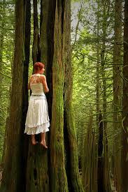 Woman Of The Woods Women Natural Phenomena Nature