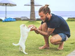 There are means of humane punishment that will teach your pooch he did wrong without hurting him. How To Discipline A Dog Without Hitting Advice And Tips