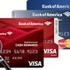 Keep in mind, the bank of america business cash rewards has a $0 annual fee, while the ink business preferred has a $95 annual fee. Https Encrypted Tbn0 Gstatic Com Images Q Tbn And9gctglnqhtssdmdpjqxsl64tjeqny7 J5f2kgr Qvxdrqyk859ro Usqp Cau