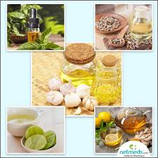 Vitamin b is crucial for nerve health. Anosmia 5 Incredible Ayurvedic Remedies To Treat Loss Of Smell