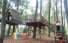 Janda cantik yang ketagihan dengan seorang pemulung di genjot. Sumbersuko Forest Park Surganya Wisata Hutan Di Kabupaten Malang Mojokerto Times