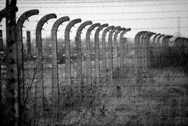 He has been charged with first degree murder, which in kuwait is punishable by death. In The Camps Erich Hartmann Magnum Photos