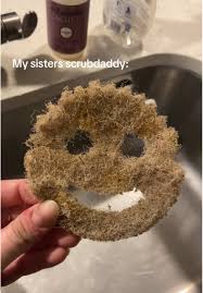 Let him retire please @Scrub Daddy #scrubdaddy #tired #funny #crusty | TikTok