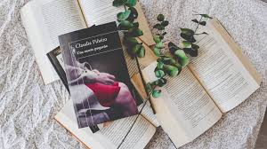 A continuación, te compartimos 10 frases extraídas del libro las viudas de los jueves de claudia piñeiro para que te dejes llevar por las sensaciones. Una Suerte Pequena Claudia Pineiro Lecturista