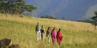 Image result for isimila stone age