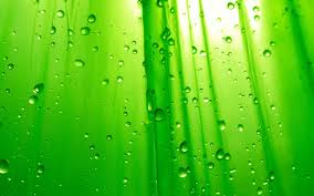 Maybe you would like to learn more about one of these? Green Hd Wallpapers Group 85