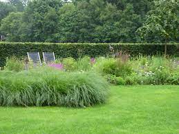 prairietuin met pennisetum hameln hovenieren tuin tuinontwerp