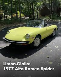 Image result for Giallo 1985 Alfa-Romeo