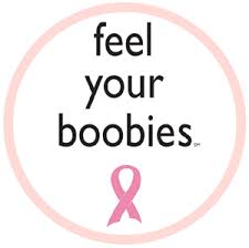Image result for breast cancer awareness