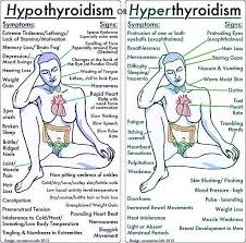 Hypo Hyper Thyroid Thyroid Disorders Medical Knowledge Nurse