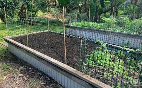 What plants keep cats out of the garden. Keeping Cats Out Of The Garden Attainable Sustainable