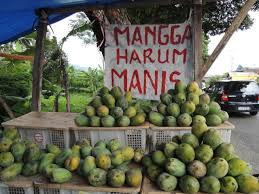 Menjual harumanis secara online semenjak 2014. Mangga Harum Manis Harumkan Nama Perlis