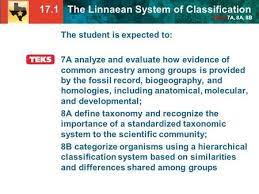 17 1 The Linnaean System Of Classification Teks 7a 8a 8b The Student Is Expected To 7a Analyze And Evaluate How Evidence Of Com Molecular System Latin Words