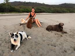 Image result for Emilia jeffreyana