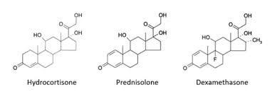 Image result for Dexamethasone