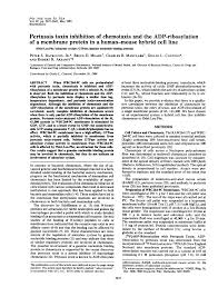 Do you know how much is 9000 south korean won in us dollars (usd) at the current exchange rate. Pertussis Toxin Inhibition Of Chemotaxis And The Adp Ribosylation Of A Membrane Protein In A Human Mouse Hybrid Cell Line Abstract Europe Pmc