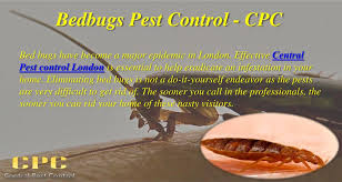 1,248 likes · 85 talking about this. Ppt Is Central Pest Control Right Choice For You Powerpoint Presentation Id 4716736