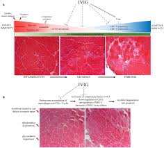 Maybe you would like to learn more about one of these? 1yxh4hfmbtia8m