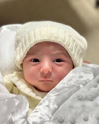 DANIEL SASSO (@danielsasso10) • Threads, Say more