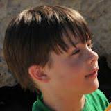 Infected Paradise :: Rodman Pictures