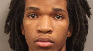 Sentencing delayed for Cobb County dog killer after 'dirty'...