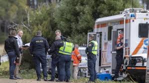 Shayla phillips was last seen at about 2.30pm on wednesday when she was playing with her neighbours two dogs in the backyard of their . Fyvlebhwnh1xkm