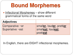 The technique of adding or attaching the bound morphemes into lexical . An Introduction To Language Ppt Download