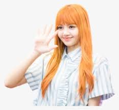 Tons of awesome blackpink wallpapers to download for free. Lisa Blackpink Pc Wallpaper Hd Png Image Transparent Png Free Download On Seekpng