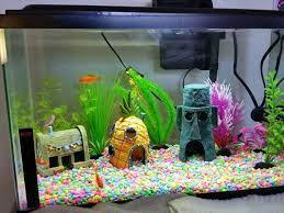 How To Take Care Of Goldfish Fish Tank Themes Goldfish Tank Cool Fish Tanks