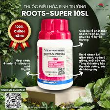 Roots-super 10SL