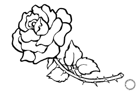 Bungan nan indah, ketika dekat aku menatap mu, tapi tak berani memetikmu ketika engkau telah jauh entah. Gambar Mewarnai Bunga Mawar Berduri Untuk Anak Gambar Mewarnai Untuk Anak
