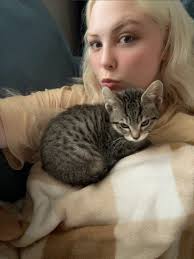 Stray Kids fans meet JYP at a recent event