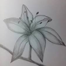 Blume Zeichnung Bleistift Innenarchitektur Ist Nicht Einfach Fur Profis Konnte Es Sein Fur A Blumen Zeichnung Zeichnung Bleistift Zeichnungen Bleistift Einfach