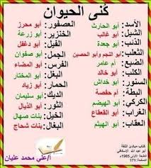 كنى الحيوانات Learn Arabic Language Learning Arabic Teach Arabic