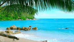 Get these caribbean zoom virtual backgrounds to virtually teleport yourself to caribbean shores or west indian luxury stays! Best Tropical Ocean Waters Gifs Gfycat