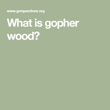What Is Gopher Wood Gopher Wood Faith