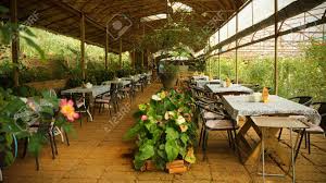 I harvest the seeds and dry them on a. Outdoor Cafe Table Setting In Garden And Flower Garden With Stock Photo Picture And Royalty Free Image Image 98917695