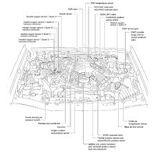 I have been trying to get it started after having the. 2005 Nissan Pathfinder Engine Diagram Left Side Wiring Diagram Page Base Here Base Here Granballodicomo It