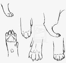 How to draw a paw print (simple) Cat Paw Drawing Drawing Transparent Png 1019x784 Free Download On Nicepng