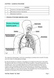 1 Gaseous Exchange In Humans Part 1 Human Respiratory System Respiratory System Biology