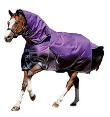 Best Rated In Horse Blankets Sheets Helpful Customer