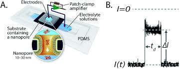 Maybe you would like to learn more about one of these? Surface Coatings For Solid State Nanopores Nanoscale Rsc Publishing