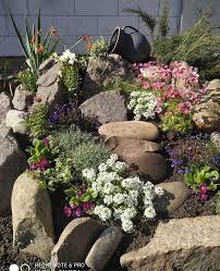 Norma Marrero (normamarreropt)