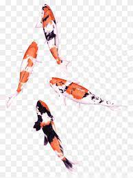 This tutorial shows the sketching and drawing steps from start to finish. School Of Koi Fish Koi Drawing Watercolor Painting Fish Colored Pencil Koi Pencil Animals Color Png Pngwing